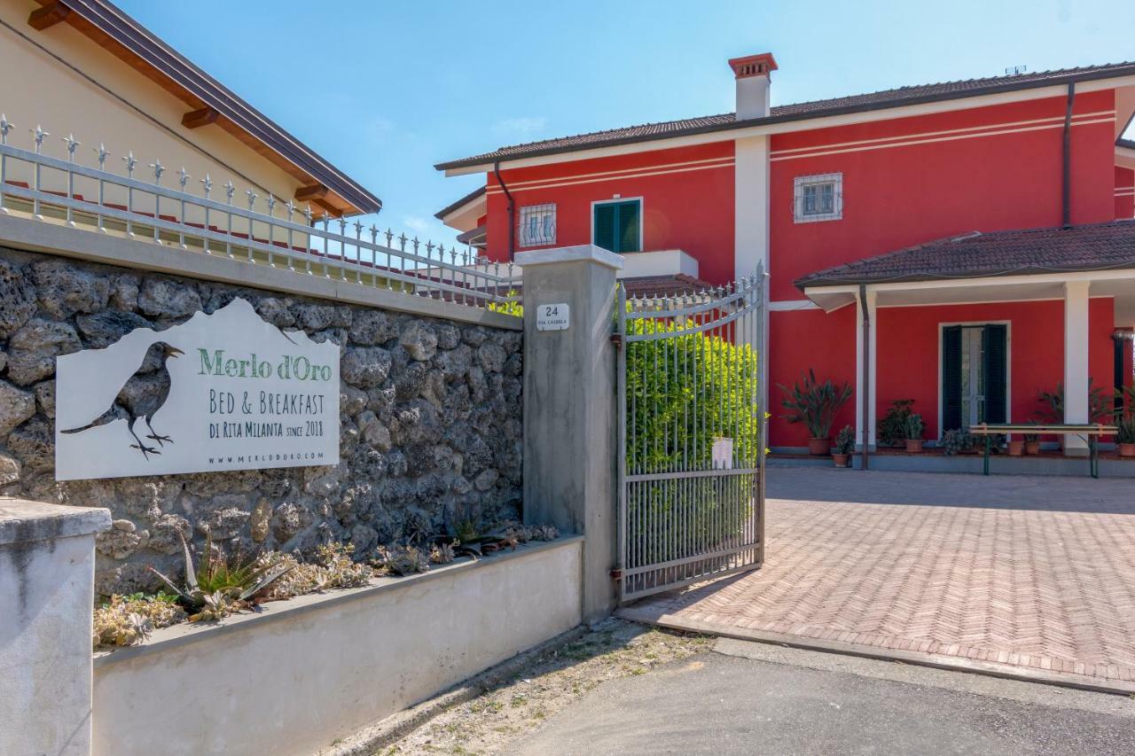 Merlo D'oro 卡拉拉